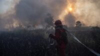 karhutla kebakaran hutan melanda kalimantan