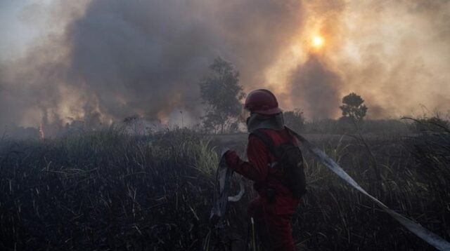 kebakaran hutan melanda kalimantan